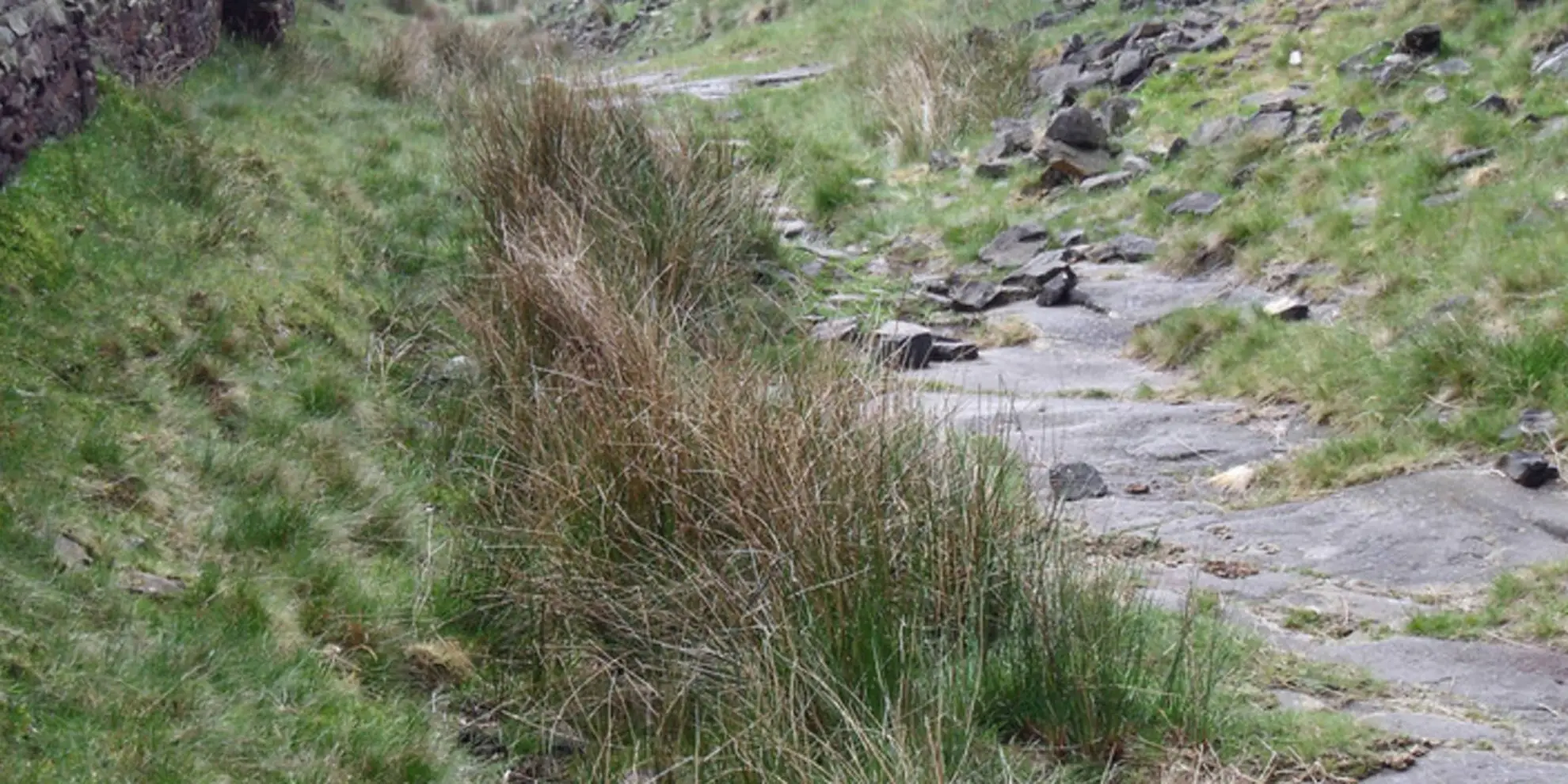 An image depicting the trail Harry Hut - Mill Hill and Doctor's Gate from near Glossop and its surrounding area.
