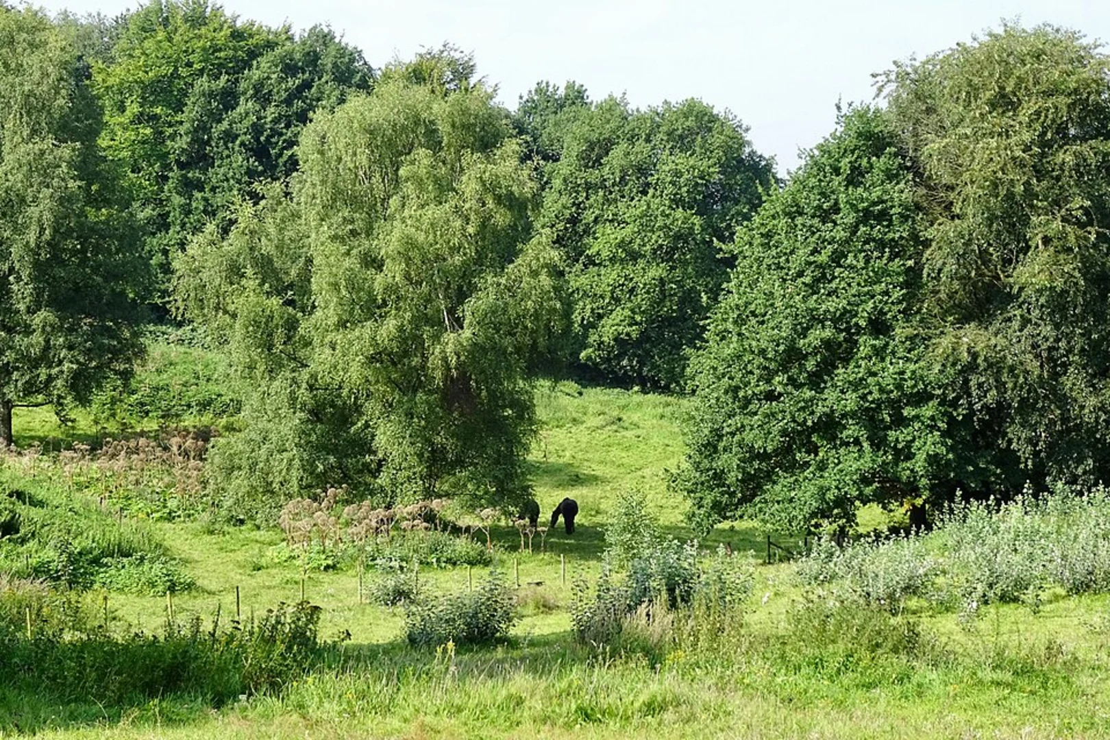 An image depicting the trail Tutenberg and Braamberg via Vasser Weg and Tumuli Weg and its surrounding area.