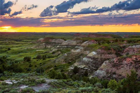 An image depicting the trail Petrified Forest Loop Trail and its surrounding area.