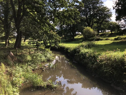 An image depicting the trail W Bowburn Way and its surrounding area.