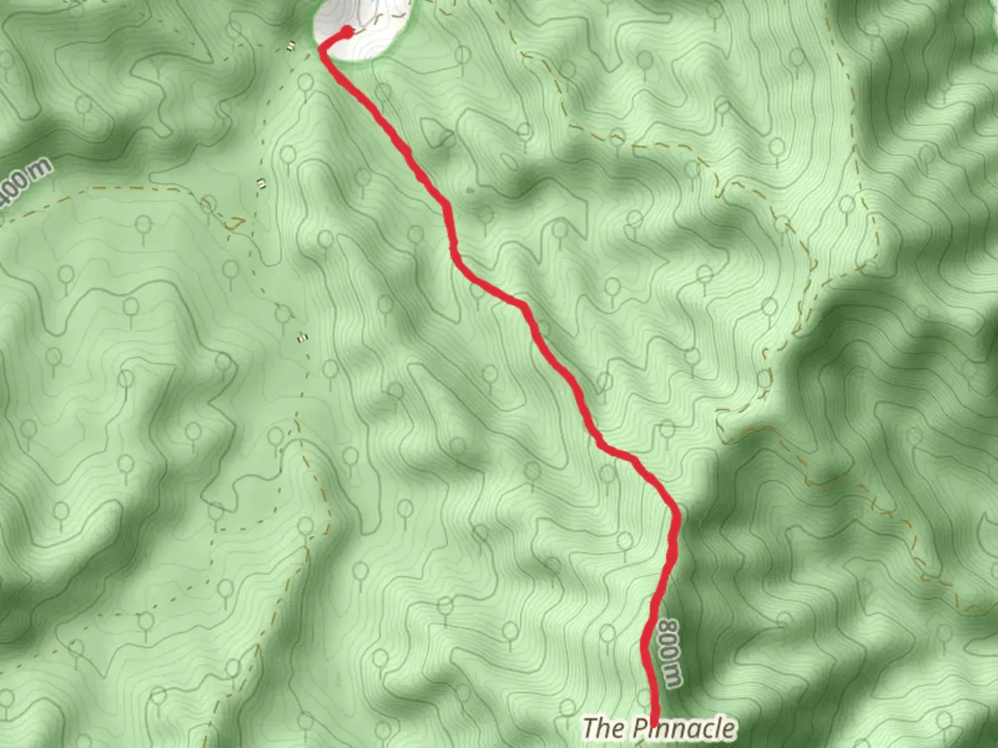 An image depicting the trail Pinnacle Walking Track and its surrounding area.