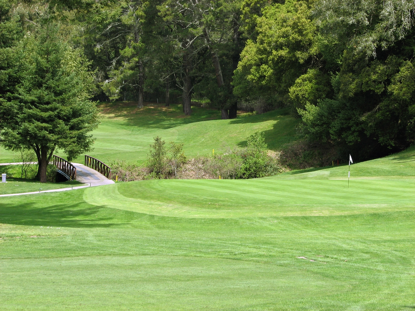 An image depicting the trail Quarry - Lower Big Springs Loop Trail and its surrounding area.
