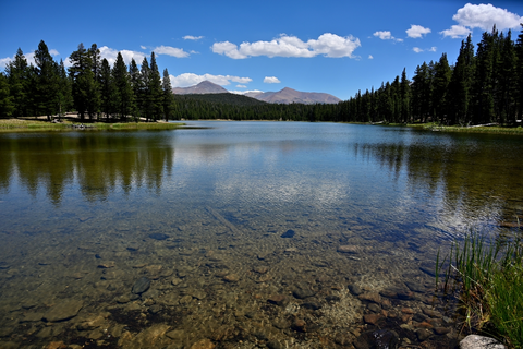 An image depicting the trail Dog Lake Trail and Lembert Dome Horseshoe Trail and its surrounding area.