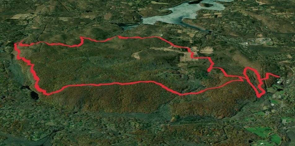 Pine Forest and Rock Trail Loop - Lewisboro Town Park