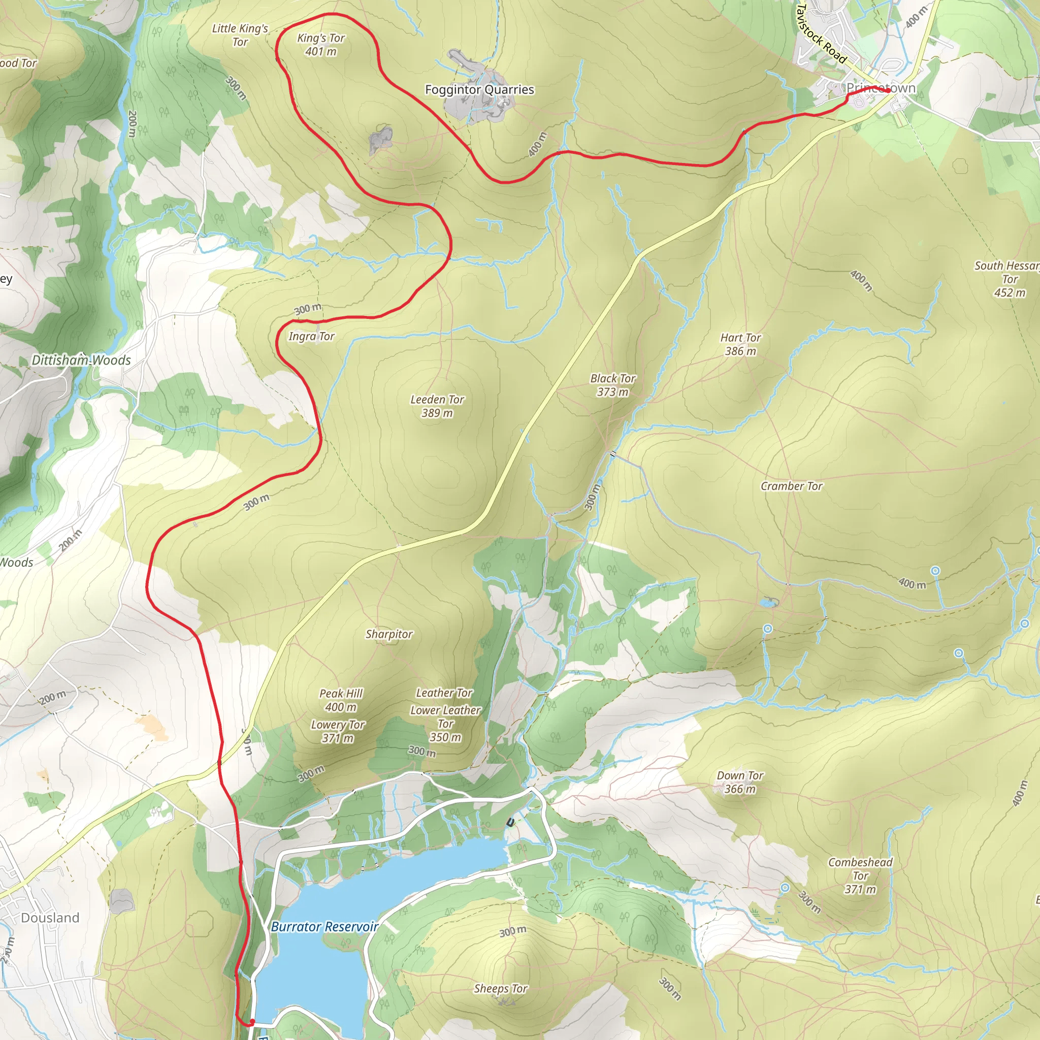 Burrator Reservoir to Princetown Walk via King's Tor mobile static map
