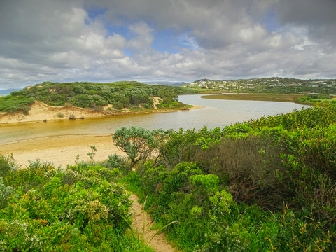 Aireys Inlet Cliffs Trail