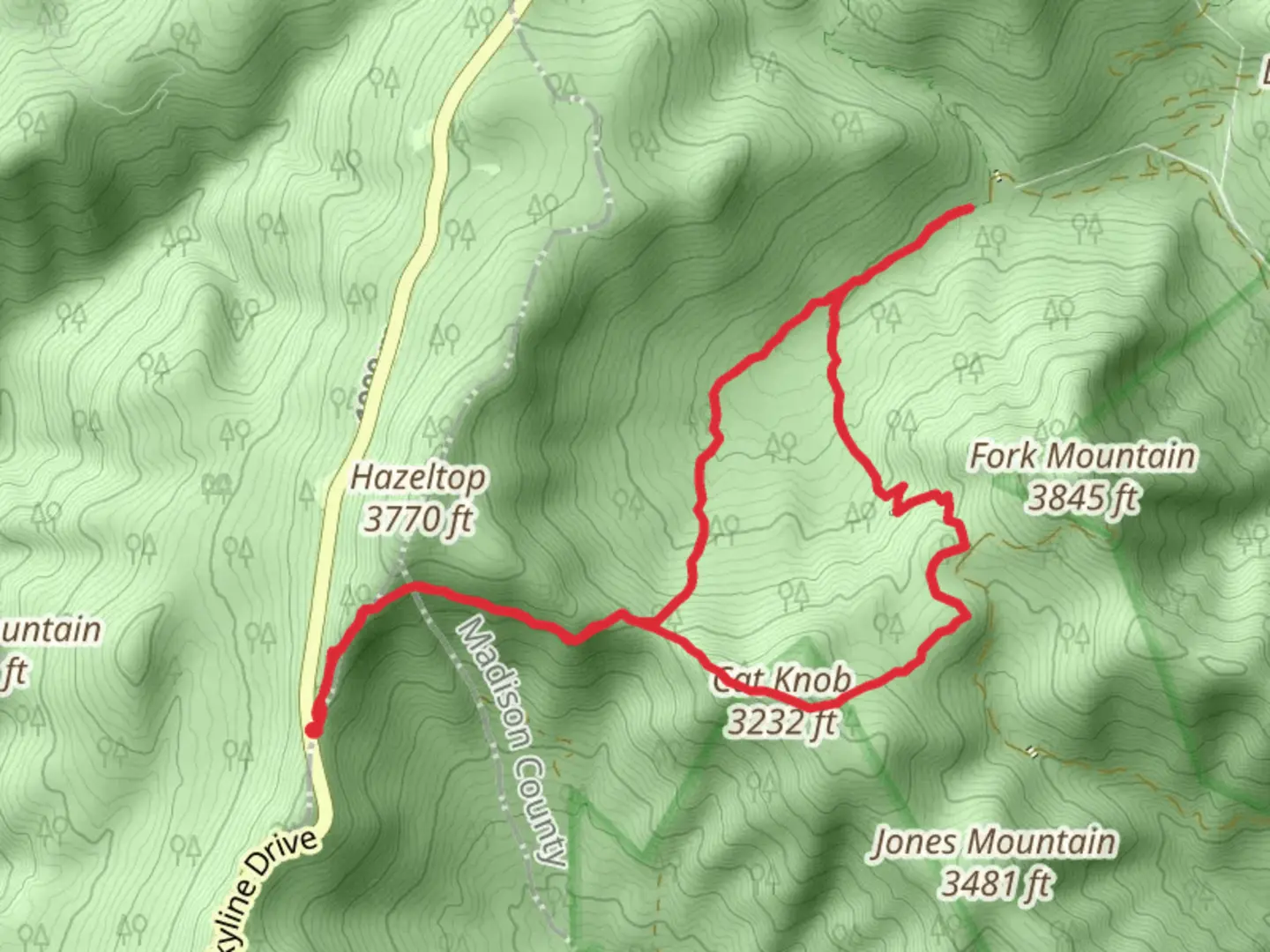 An image depicting the trail Laurel Prong, Cat Knob and Fork Mountain Loop Trail and its surrounding area.