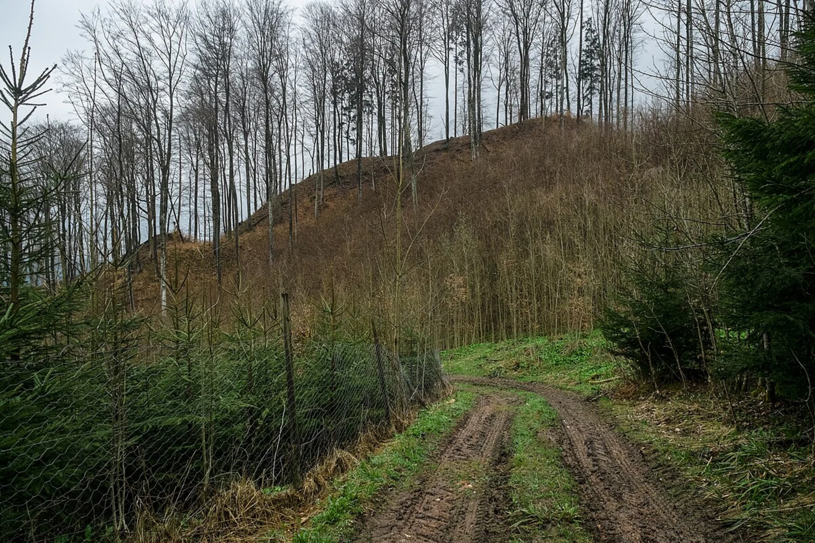 An image depicting the trail Reintal Loop and its surrounding area.