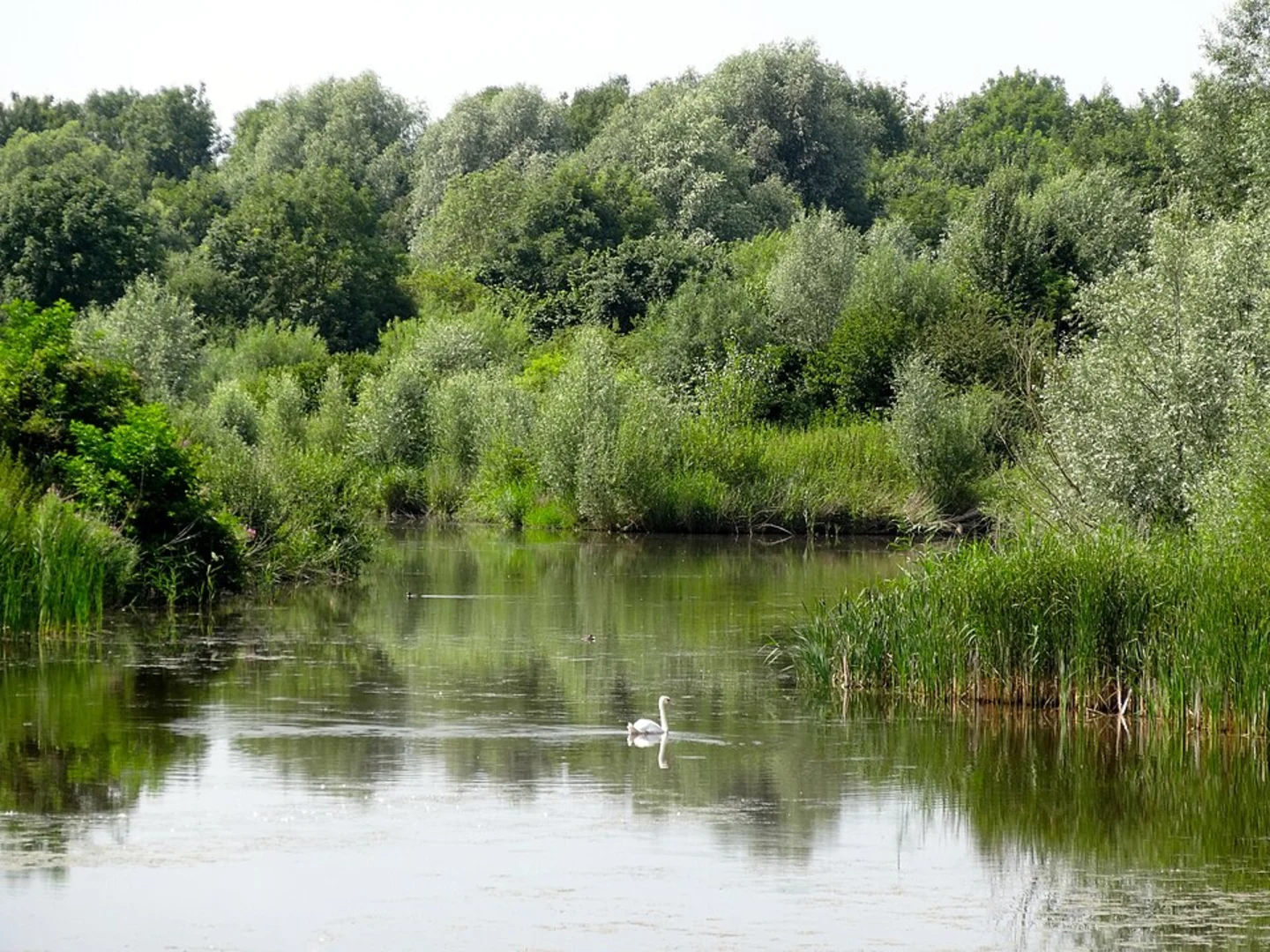 An image depicting the trail De Stille Kern Loop and its surrounding area.