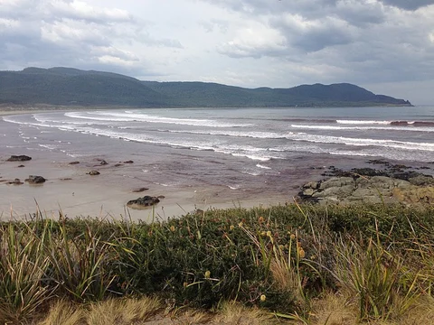 An image depicting the trail East Cloudy Head Track and its surrounding area.