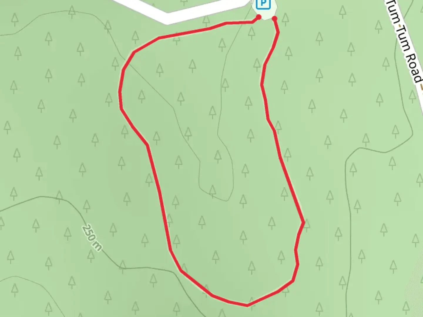 An image depicting the trail Tum Tum Road Loop and its surrounding area.