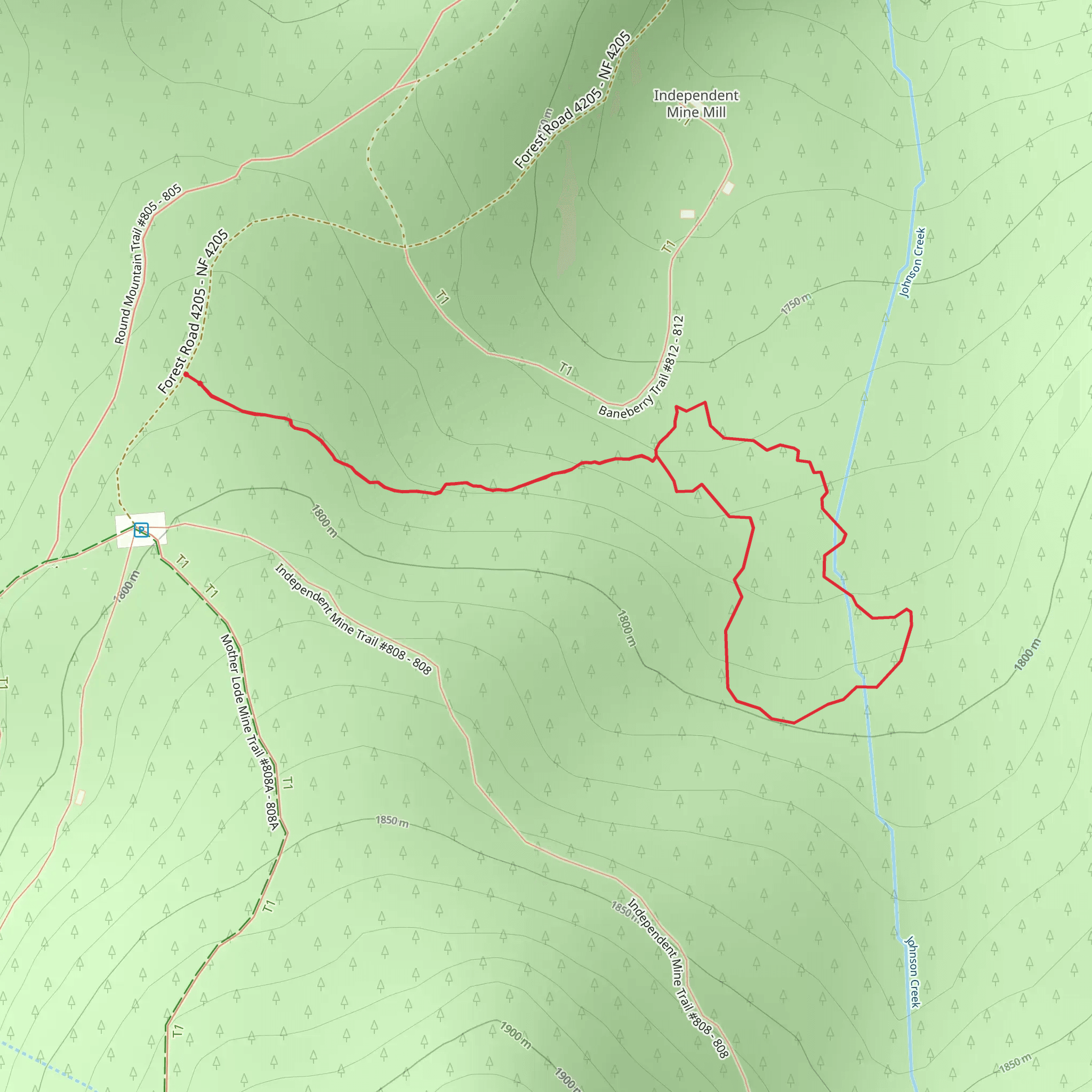 Baneberry Trail mobile static map