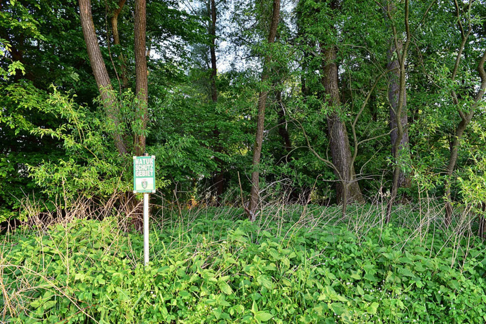 An image depicting the trail Feldbach - Raabau - Beerenweg and its surrounding area.