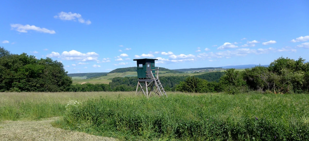 Hof Iben, Staatsforst and Weiherwald Loop via Hiwweltour Tiefenthaler Hohe