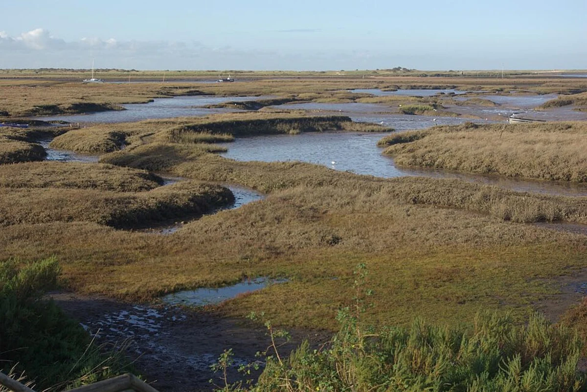 Barrow Common and Brancaster Staithe Loop