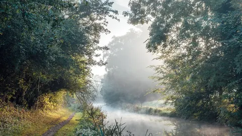 An image depicting the trail Grand Union Canal Walk and its surrounding area.