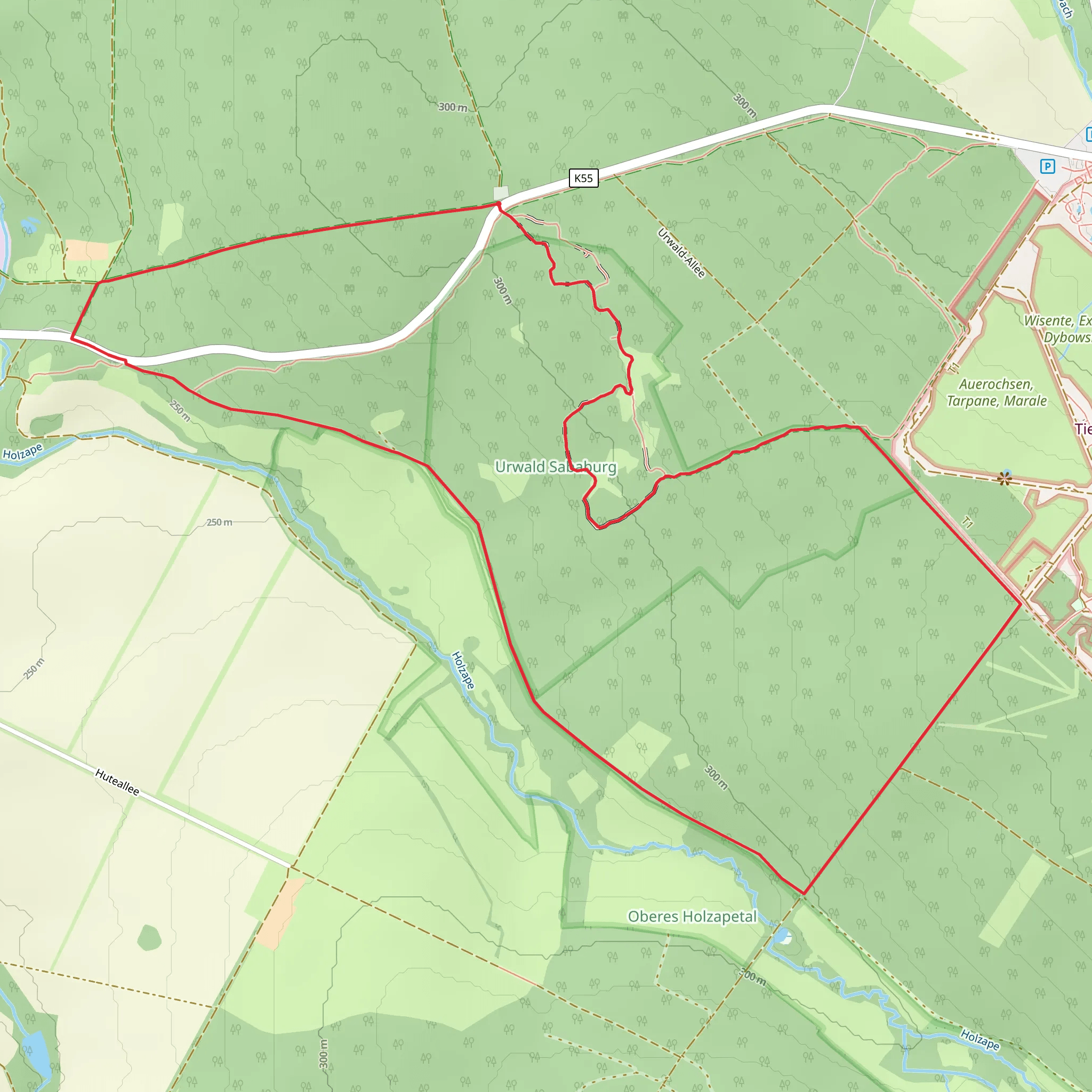 Urwald Sababurg Loop mobile static map