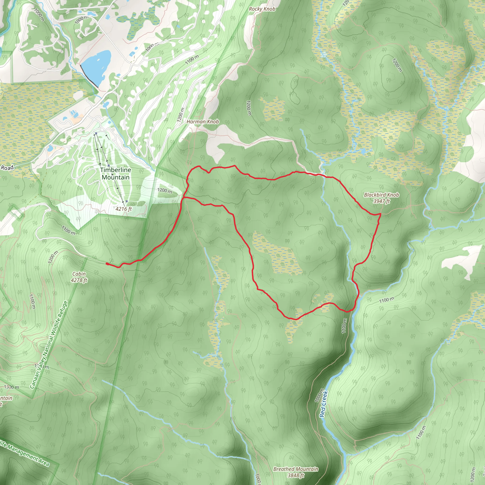 Breathed Mountain and Blackbird Knob Loop Trail mobile static map