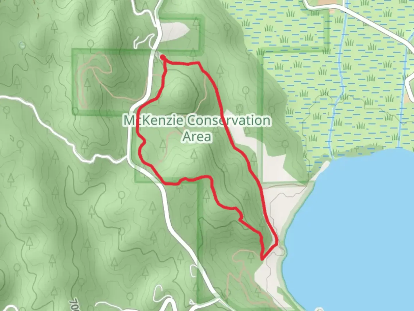 An image depicting the trail Bedrock Ridge and Turtle Rock Loop and its surrounding area.