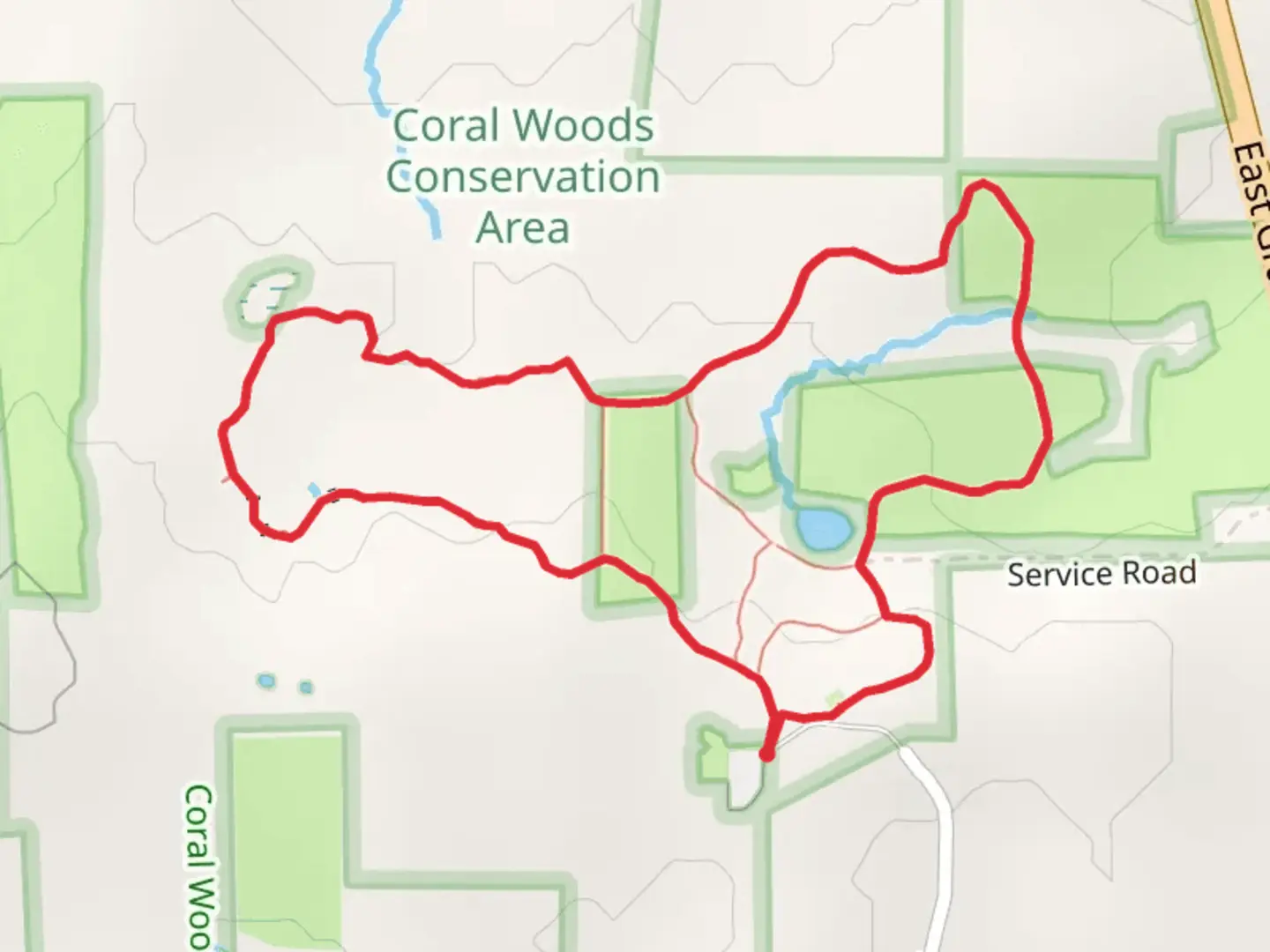 An image depicting the trail Nature, Hiking and Sugar Maple Loop and its surrounding area.