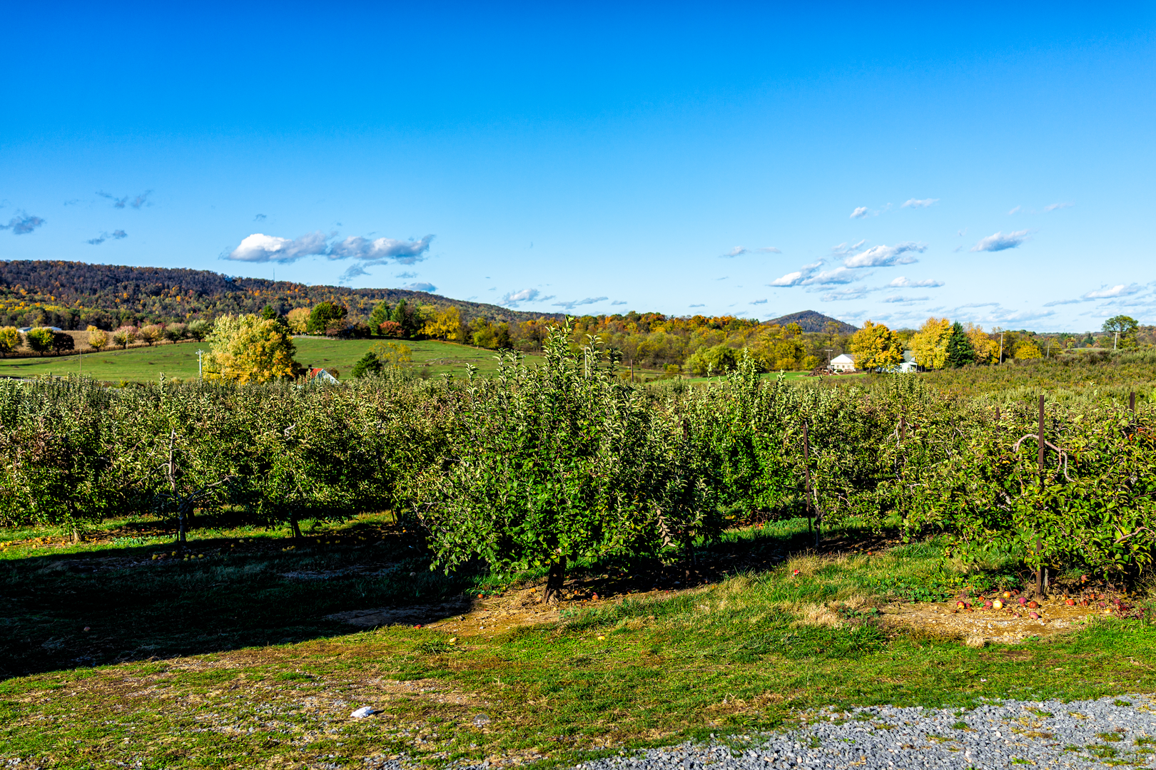 An image depicting the trail Appalachian Trail Section Hike - James River Face Wilderness and its surrounding area.
