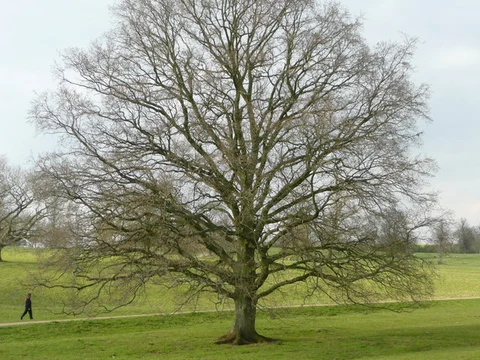 An image depicting the trail Broughton Park and North Newington Loop and its surrounding area.