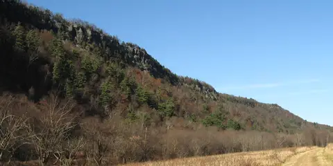 An image depicting the trail McDade Recreational Trail and its surrounding area.