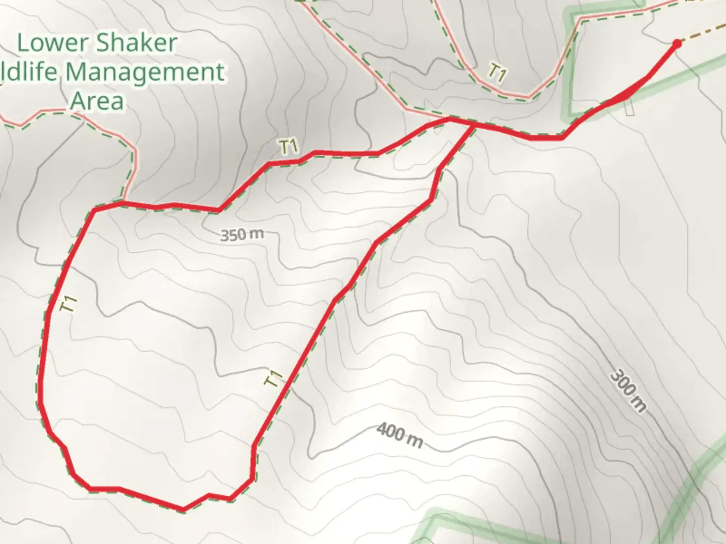 An image depicting the trail Moses Johnson and Hill Trail Loop and its surrounding area.
