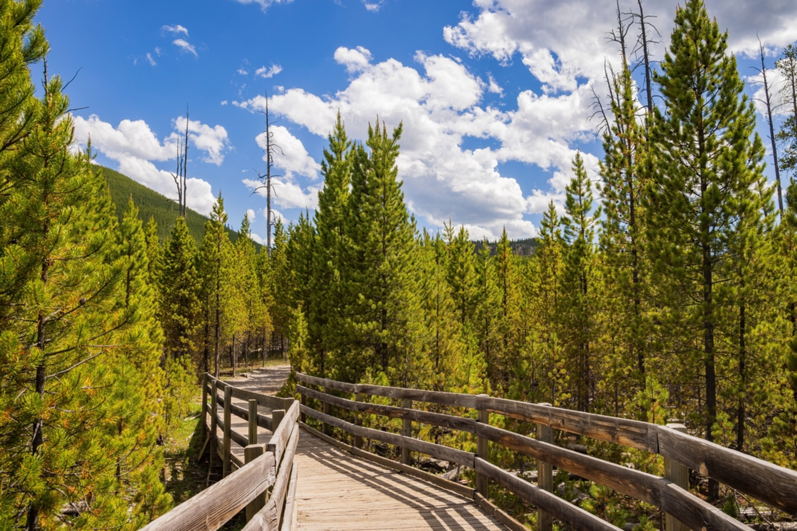 An image depicting the trail Artists Paintpots Trail and its surrounding area.