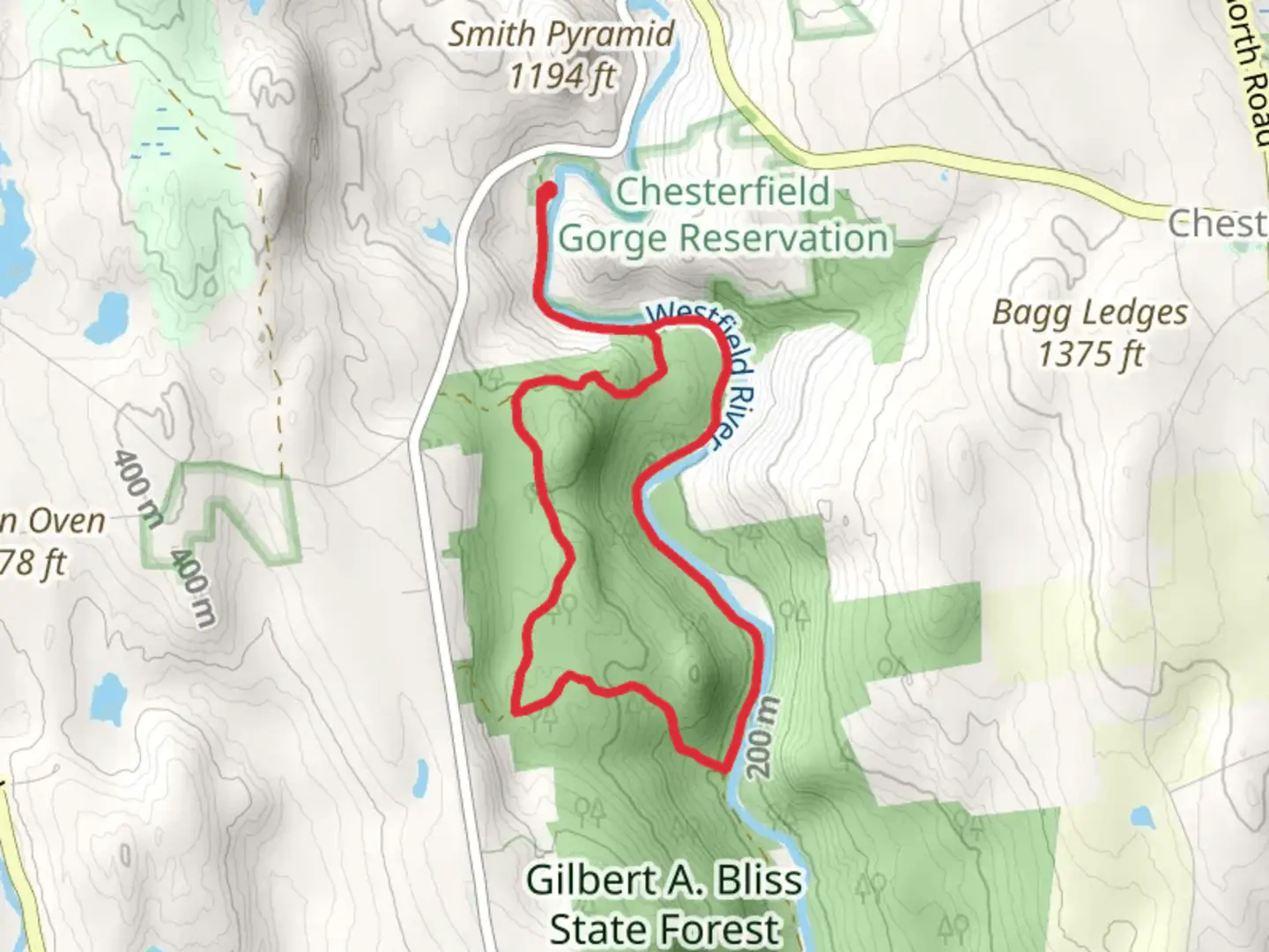 An image depicting the trail Gilbert A Bliss State Forest Loop and its surrounding area.