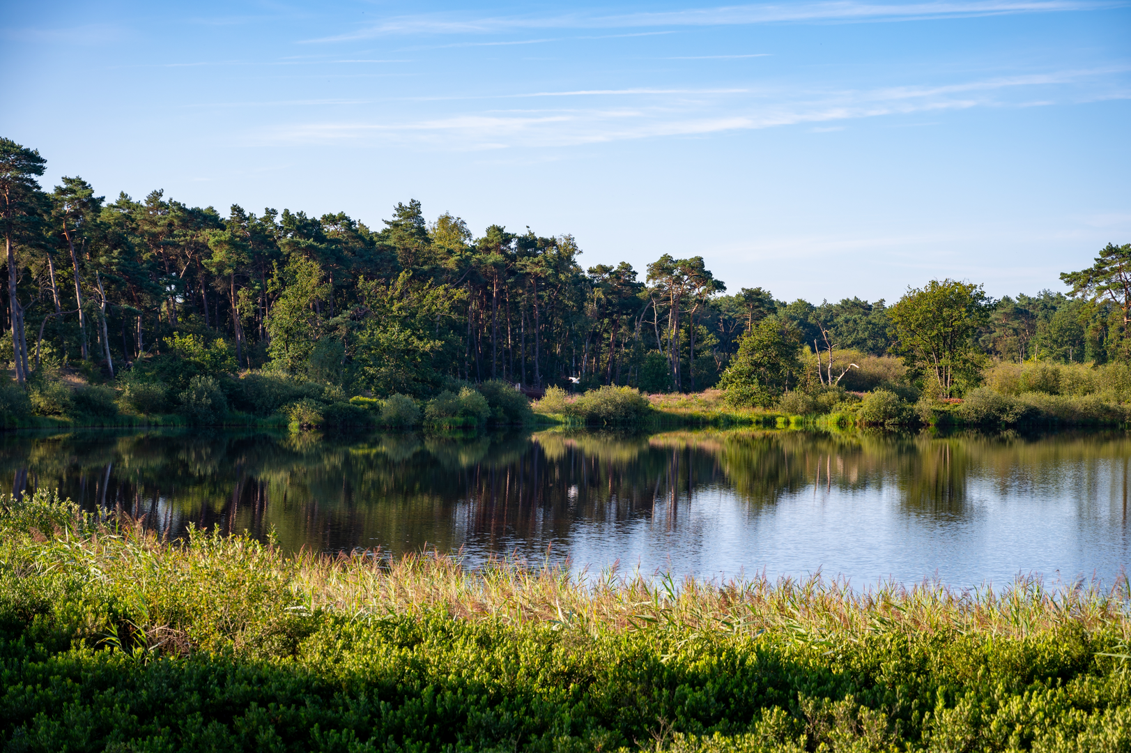 An image depicting the trail Groot Malpieven and Vennen via Brugseheide and Abdij Weg and its surrounding area.