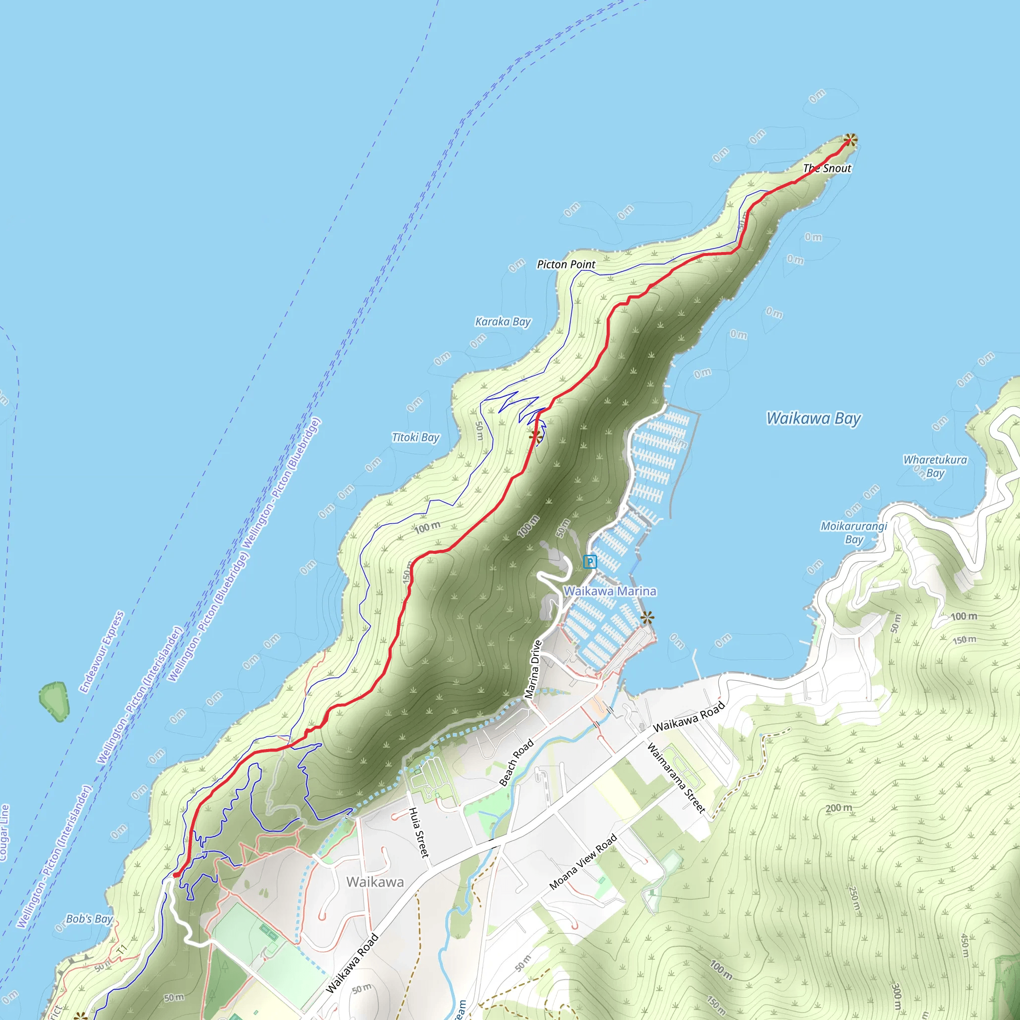 Picton Snout Track mobile static map