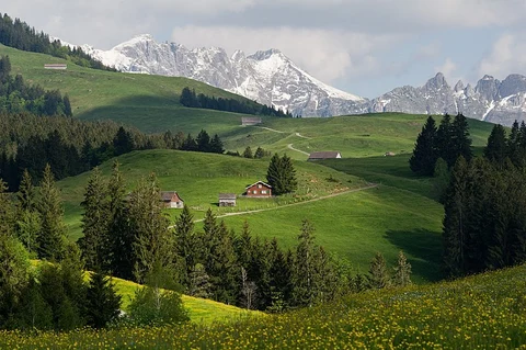 An image depicting the trail Appenzell Alp Trail and its surrounding area.