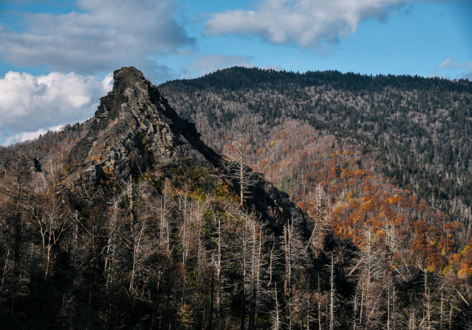 An image depicting the trail Road Prong Trail and its surrounding area.