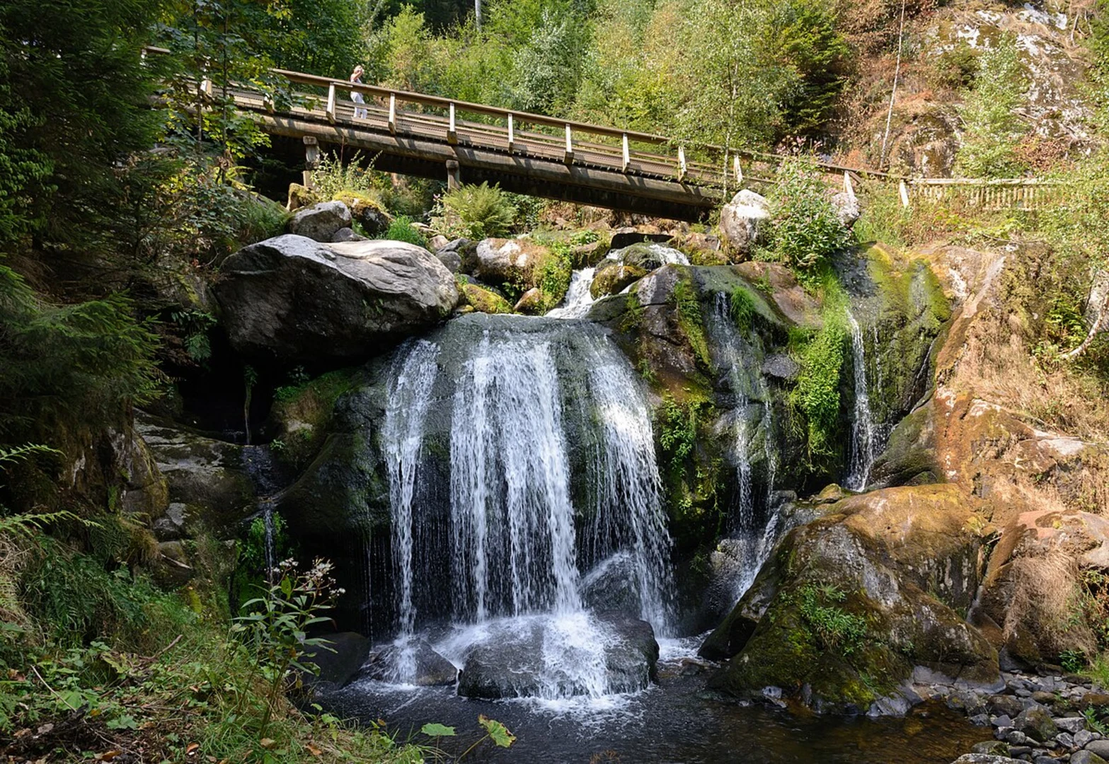 An image depicting the trail Bergsee via WasserWeltenSteig and Ortenau Baar Weg and its surrounding area.