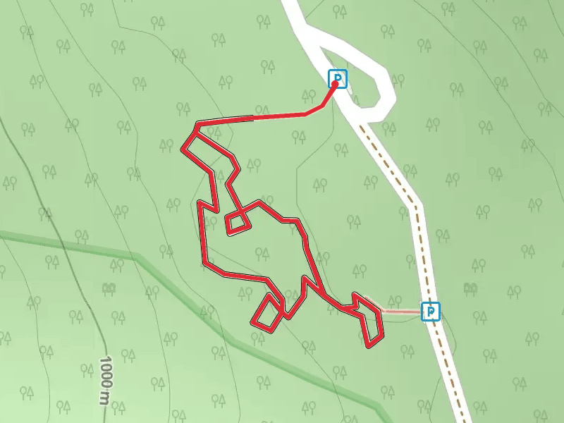 Beartown Road 219-11 Loop