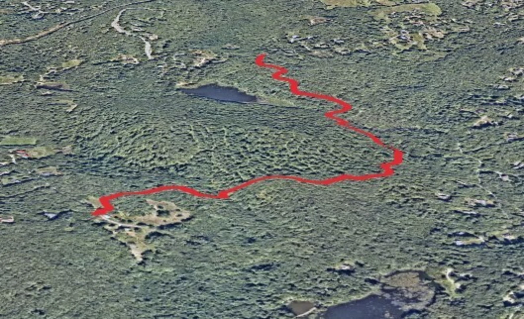 An image depicting the trail Meadow Brook Woods and its surrounding area.