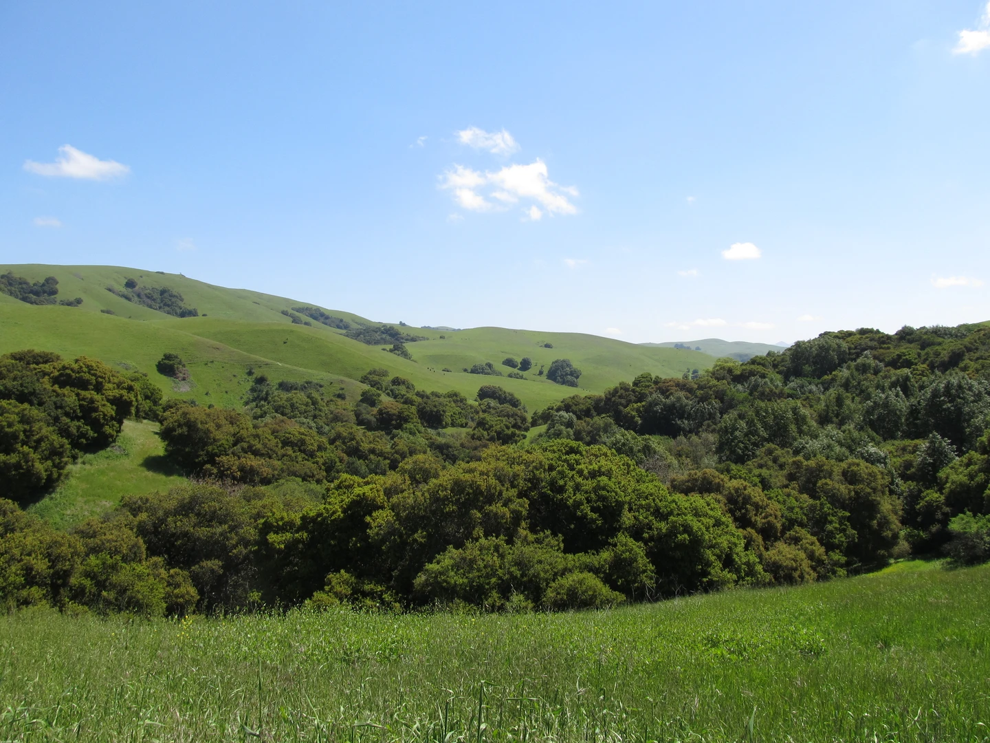 An image depicting the trail Meyers Ranch - Pioneer Loop Trail and its surrounding area.