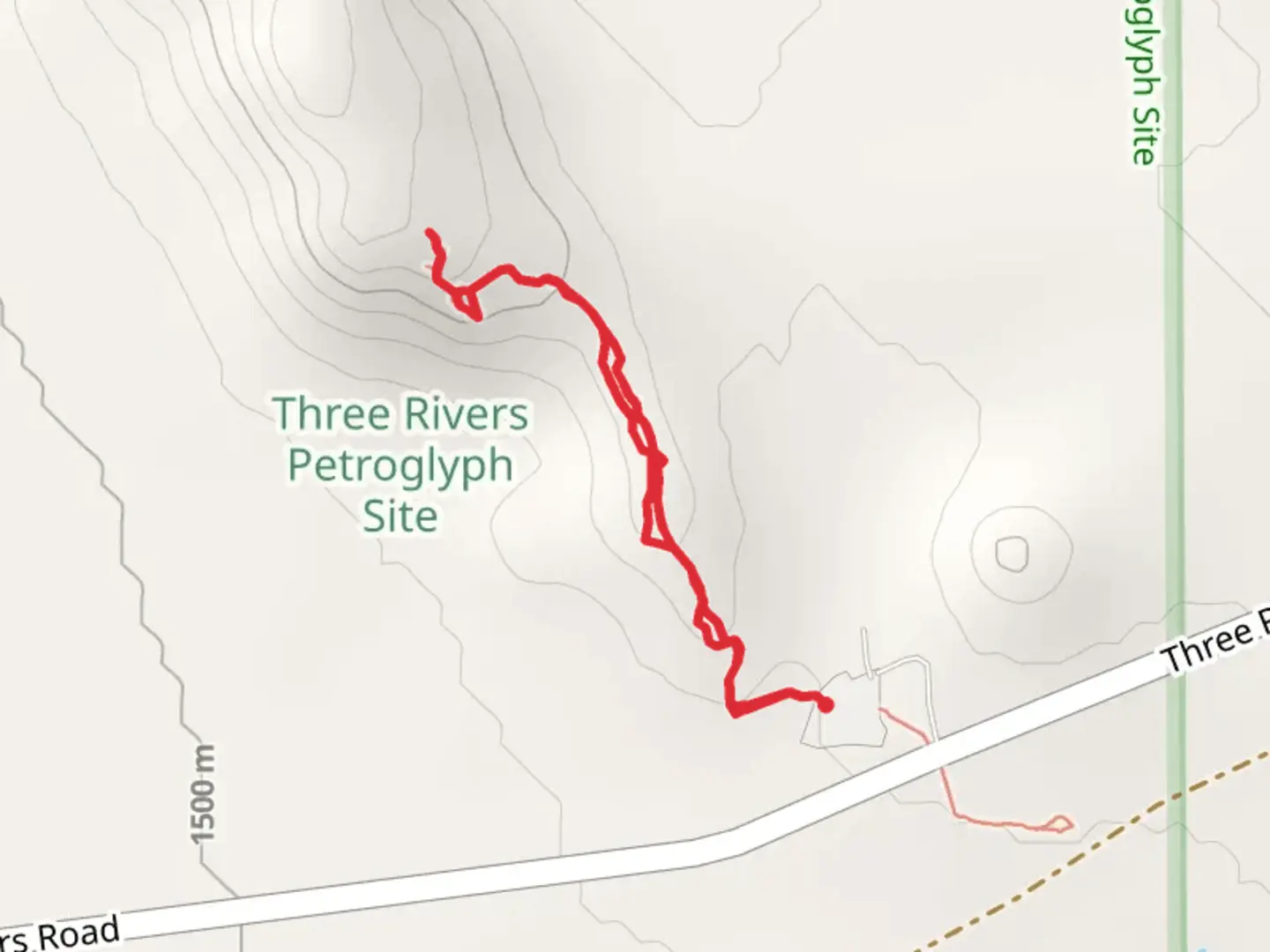 An image depicting the trail Three Rivers Petroglyph Site Trail and its surrounding area.