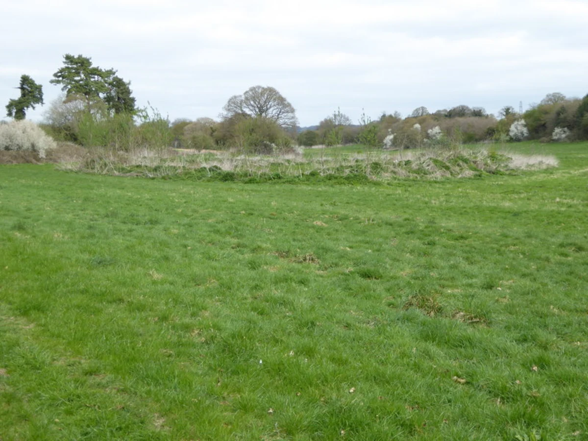 Nursling and Rownhams Country Park and Great Covert Loop