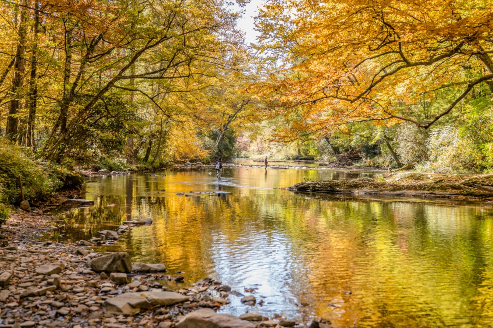 An image depicting the trail Devil's Hole Trail and its surrounding area.