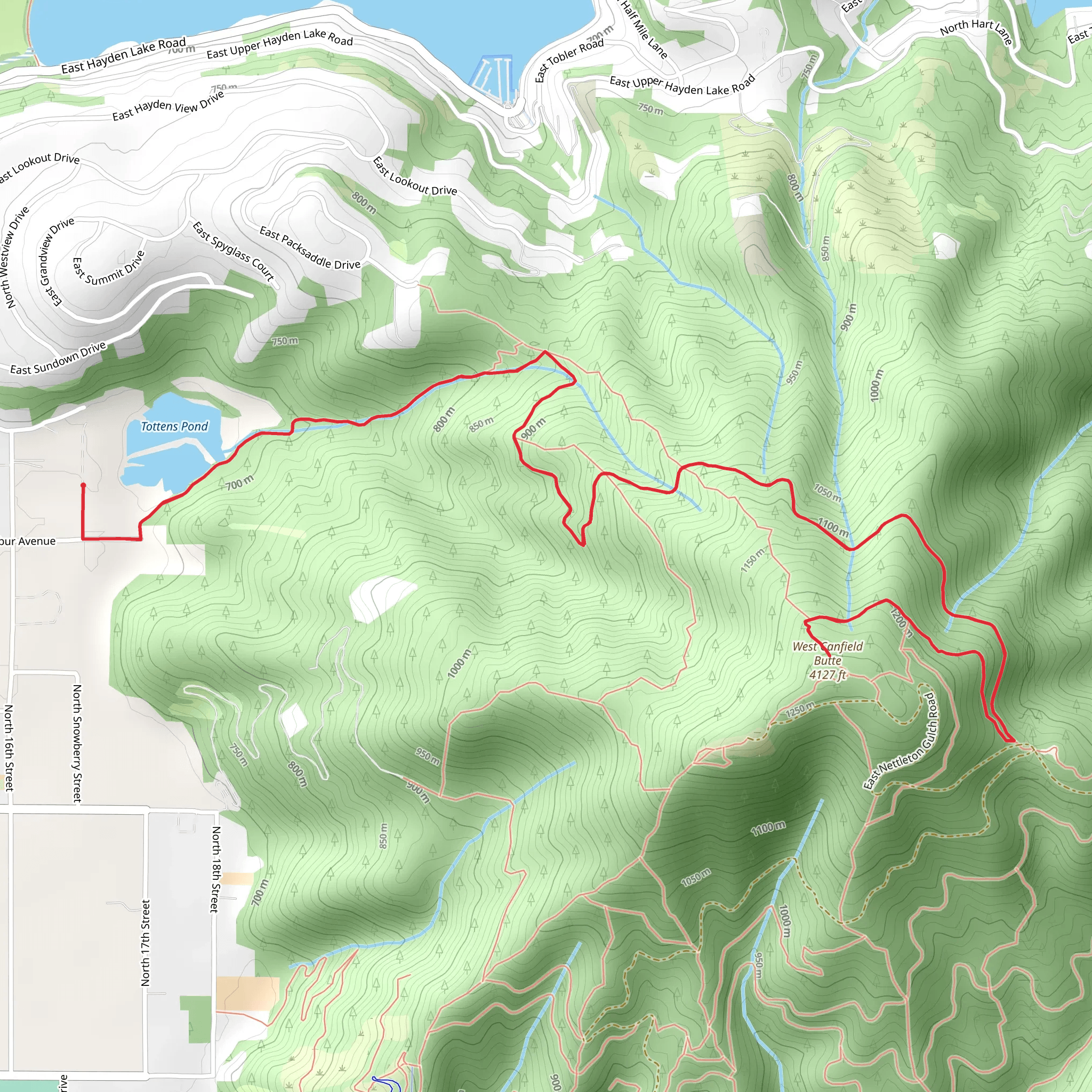 West Canfield Butte via Trail 29 Tottens Pond and Trail D mobile static map