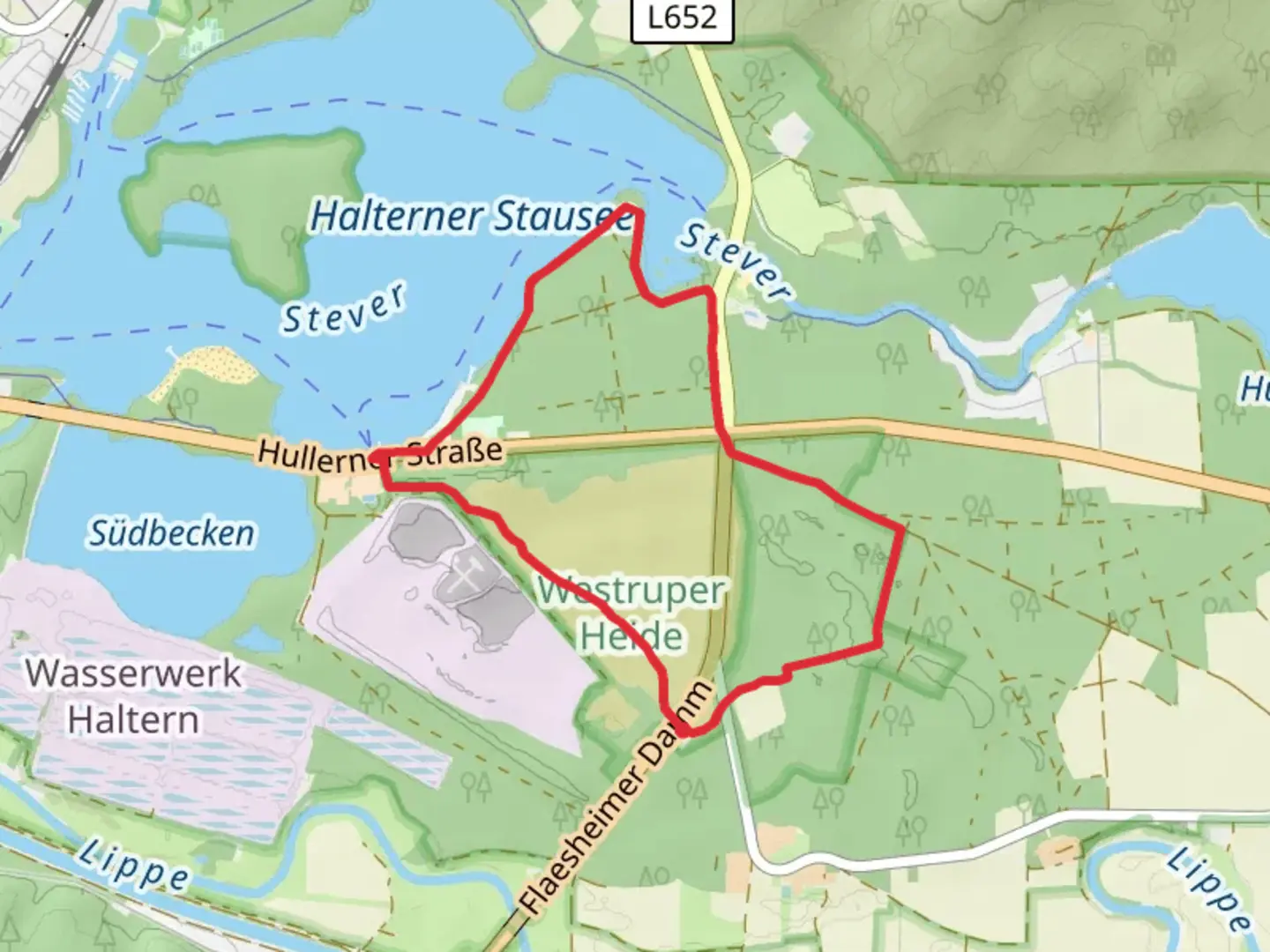 An image depicting the trail Westruper Heide-Walder and Hohe Niemen Loop via Bienenroute and its surrounding area.