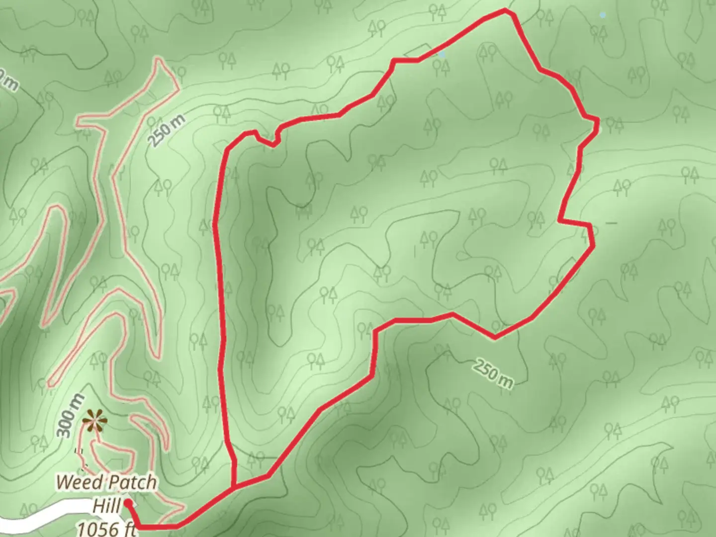 An image depicting the trail Weed Patch Hill - Hiking Trail and its surrounding area.