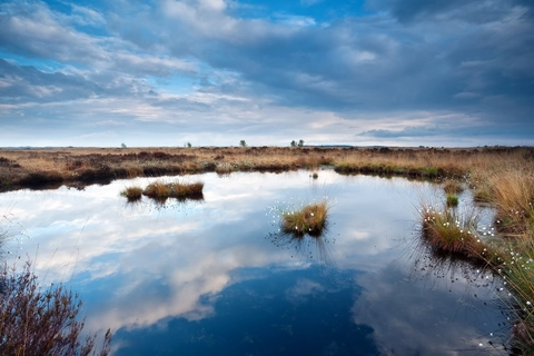 Fochteloeerveen Loop Via Kolonievaart