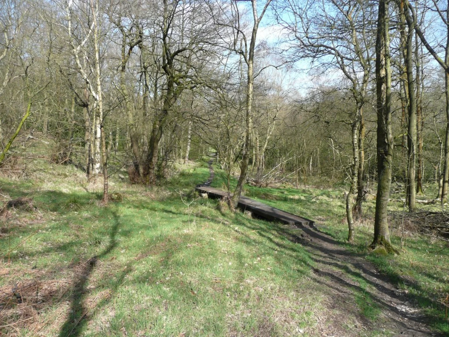 An image depicting the trail Sutcliffe Wood and Withens Clough Reservoir Loop and its surrounding area.