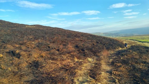 An image depicting the trail Calder - Aire Link and its surrounding area.