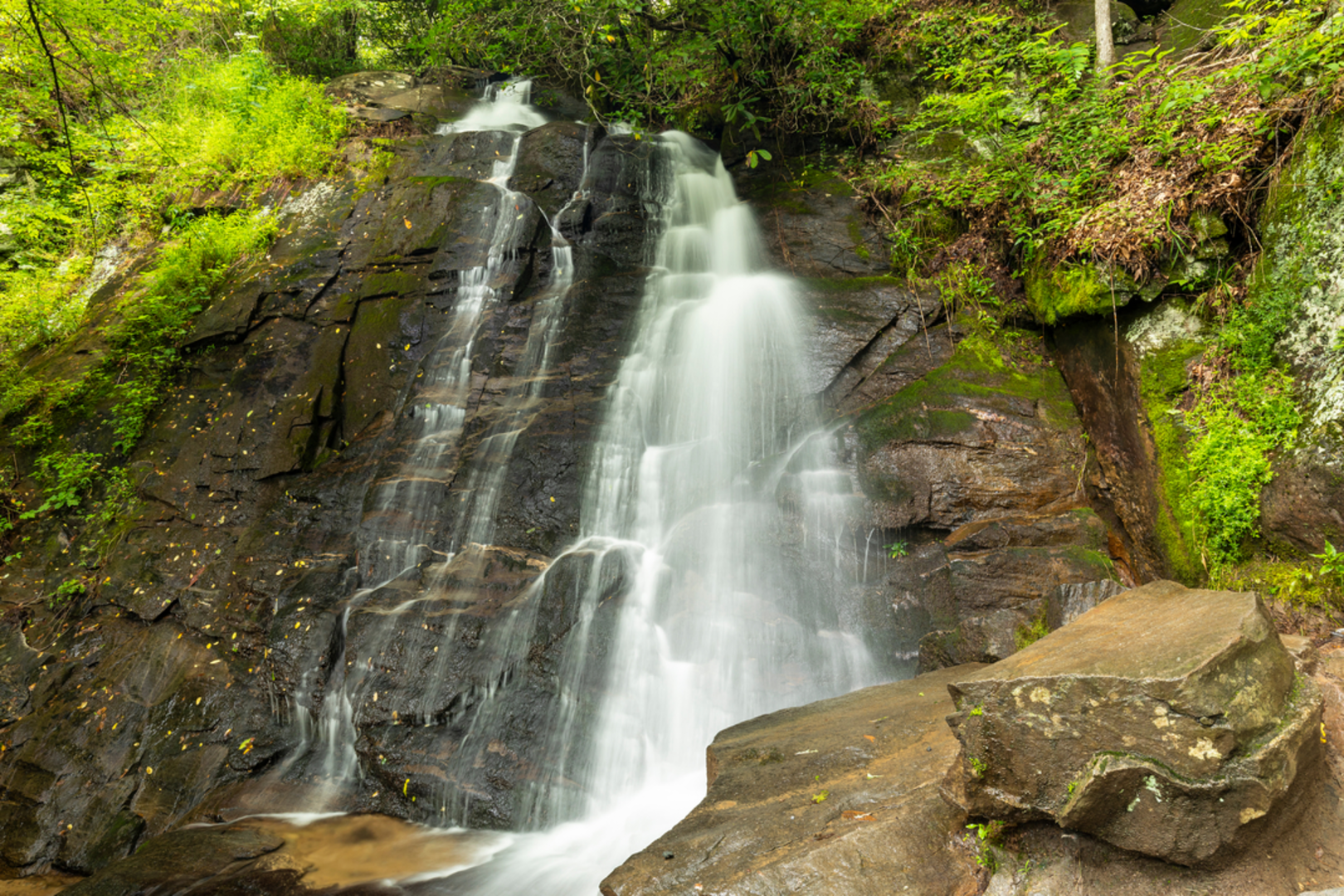 An image depicting the trail Sunkota Ridge Trail and its surrounding area.