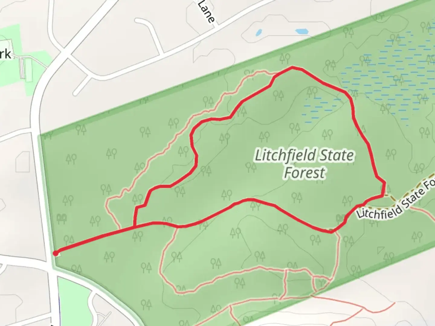 An image depicting the trail Litchfield State Forest Loop via Calvin Loop and its surrounding area.
