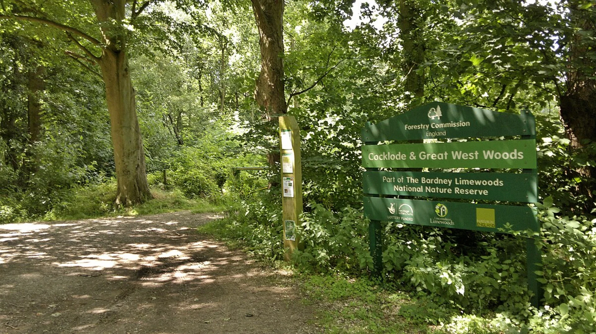 An image depicting the trail Wragby Woods, Goltho Woods and Great West Wood and its surrounding area.